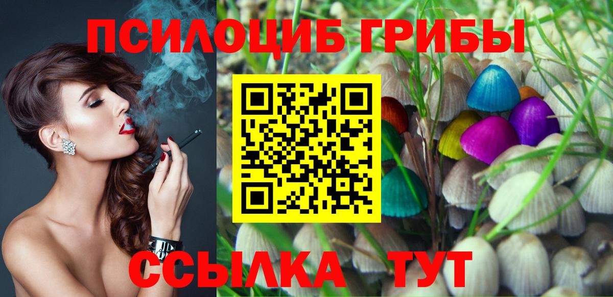 где купить наркоту  Вход с VPN  Темрюк  Псилоцибиновые грибы Psilocybine cubensis 